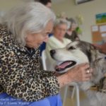 Pies w roli terapeuty – pomoc dla osób z chorobą Alzheimera