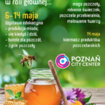 Pszczoła w roli głównej … wystawa edukacyjna w Poznań City Center