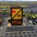 DHL dostarczył nosorożca czarnego, Eliskę, do Afryki