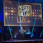 Cesar Millan i psy w nowym programie na kanale Nat Geo People