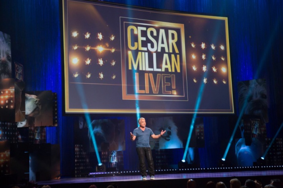 Cesar Millan i psy w nowym programie na kanale Nat Geo People