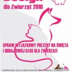 Bądź człowiekiem – pomóż zwierzętom. Trwa akcja Design dla Zwierząt 2016