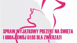 Bądź człowiekiem - pomóż zwierzętom. Trwa akcja Design dla Zwierząt 2016 LIFESTYLE, Zwierzęta - Weź udział w akcji DESIGN DLA ZWIERZĄT 2016 - podaruj co masz, kup co możesz.