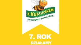 Pomóżmy pszczołom znaleźć pożywienie! LIFESTYLE, Zwierzęta - Dwadzieścia tysięcy Miejsc Przyjaznych Pszczołom – taki cel postawili sobie organizatorzy programu „Z Kujawskim pomagamy pszczołom”. Właśnie rozpoczęła się 7. edycja tej akcji.