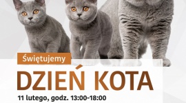 Kocie piękności w Zielonych Arkadach LIFESTYLE, Zwierzęta - Wystawa kotów rasowych w Zielonych Arkadach w Bydgoszczy!