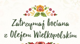 Tam gdzie stołują się bociany - raport PTOP LIFESTYLE, Zwierzęta - Producent Oleju Wielkopolskiego i Polskie Towarzystwo Ochrony Ptaków udostępniają wyniki badań prowadzonych w ramach projektu ”Zatrzymaj bociana z Wielkopolskim”