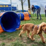 Inauguracja strefy treningowej dla psów