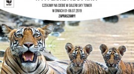 WWF Polska w Sky Tower: razem dla ochrony środowiska