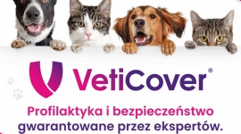 VetiCover. Bo zdrowie Twojego czworonoga jest najważniejsze LIFESTYLE, Zwierzęta - Masz psa lub kota? Dbasz o zdrowie pupila i jakość jego życia? Pakiet profilaktyczny dla zwierząt VetiCover to rozwiązanie dla Ciebie.