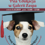 Galeria Zaspa i Psia Edukacja