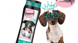 W TROSCE O PUPILA – PET SHAMPOO LIFESTYLE, Zwierzęta - Kochamy naszych czworonożnych przyjaciół i chcemy o nich odpowiednio zadbać. Od czasu do czasu musimy także ich wykąpać. Polska marka Barwa wprowadziła na rynek linię Pet Shampoo – szampony dla psów i kotów, które sprawią, że twój pupil będzie szczęśliwy i zadbany.