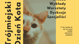 Naukowy zjazd dla kocich opiekunów LIFESTYLE, Zwierzęta - Już 22 lutego odbędzie się Trójmiejski Dzień Kota. Specjalnie na tę okazję zostanie przygotowana konferencja dla miłośników i opiekunów kotów domowych zainteresowanych zdobyciem praktycznej wiedzy na temat opieki nad ich zwierzętami