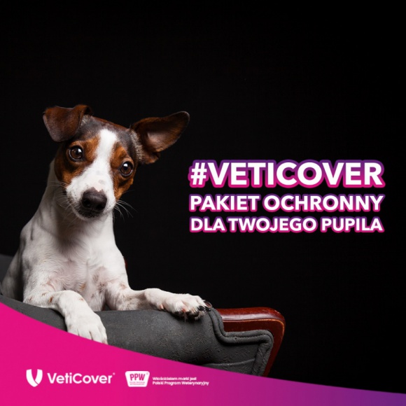 VetiCover – pakiety dla psów i kotów.