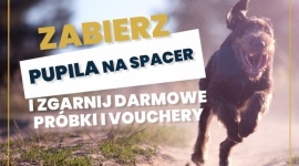 Ultra pupile #testują. Zabierz psa na spacer i odbieraj nagrody. LIFESTYLE, Zwierzęta - W pierwszy weekend lipca startuje pilotażowa akcja "Ultra pupile #testują".