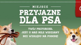 Shopping na czterech łapach – z psem i kotem zrobisz zakupy w CH Osowa LIFESTYLE, Zwierzęta - CH Osowa przyjazna dla czworonogów. Od teraz każdy klient będzie mógł odwiedzić galerię wraz ze swoim psem czy kotem. To kolejne miejsce na mapie Gdańska otwarte dla zwierzaków.