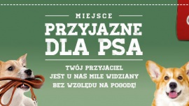 Shopping na czterech łapach – z psem i kotem zrobisz zakupy w CH Osowa Zwierzęta CH Osowa przyjazna dla czworonogów. Od teraz każdy klient będzie mógł odwiedzić galerię wraz ze swoim psem czy kotem. To kolejne miejsce na mapie Gdańska otwarte dla zwierzaków.