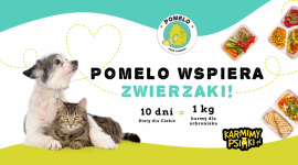 PO RAZ PIERWSZY STARTUJE AKCJA “POMELO WSPIERA ZWIERZAKI” LIFESTYLE, Zwierzęta - W 2018 roku w schroniskach w Polsce przebywało 107 325 psów oraz 29 326 kotów. Chcąc im pomóc, catering dietetyczny Pomelo, we współpracy z Fundacją Sarigato zorganizował akcję “Pomelo wspiera zwierzaki”, w ramach której przekaże nawet tonę pełnowartościowej karmy.